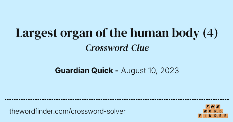 Largest organ of the human body crossword clue image