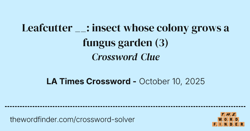 Leafcutter __: insect whose colony grows a fungus garden crossword clue image