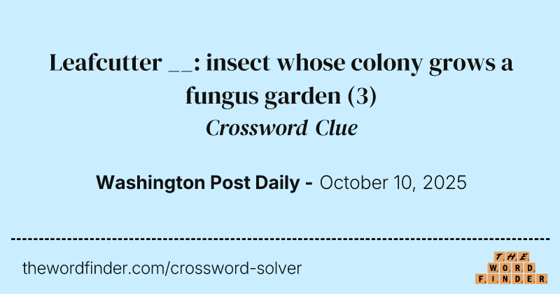 Leafcutter __: insect whose colony grows a fungus garden crossword clue image
