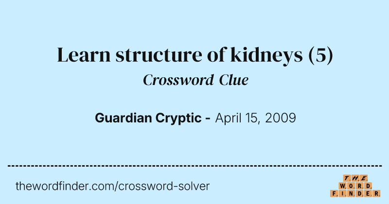 Learn structure of kidneys crossword clue image