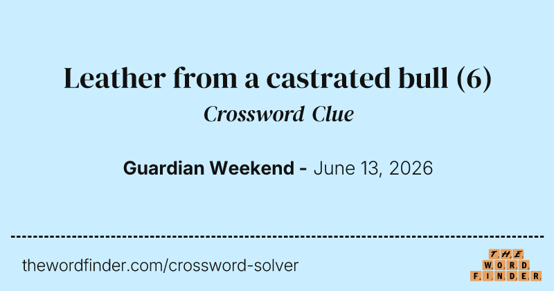 Leather from a castrated bull crossword clue image