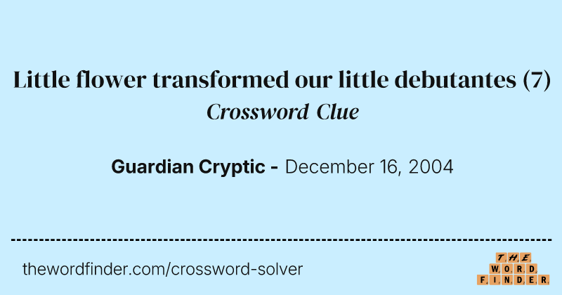 Little flower transformed our little debutantes crossword clue image