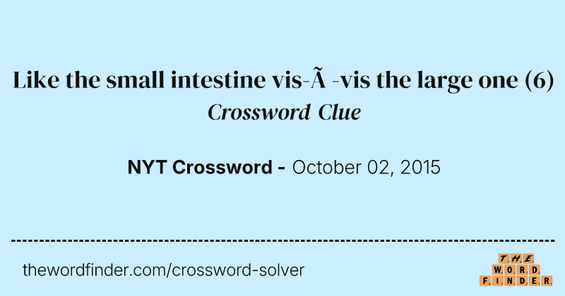 Like the small intestine vis-à-vis the large one crossword clue image