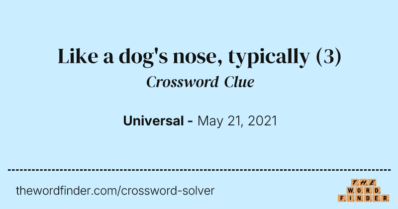 Like a dog's nose, typically crossword clue image