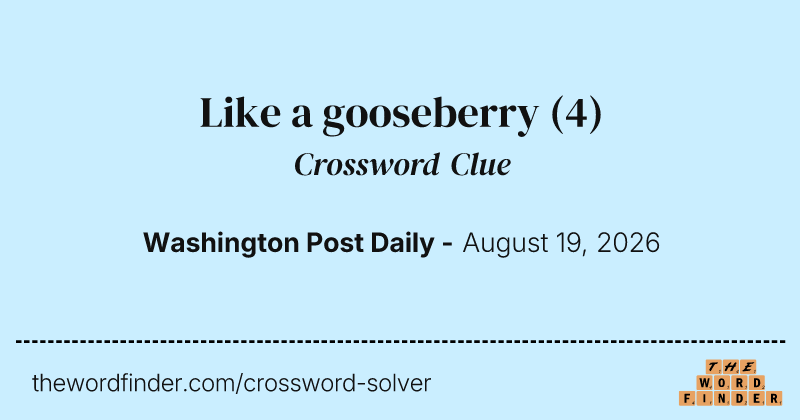 Like a gooseberry crossword clue image