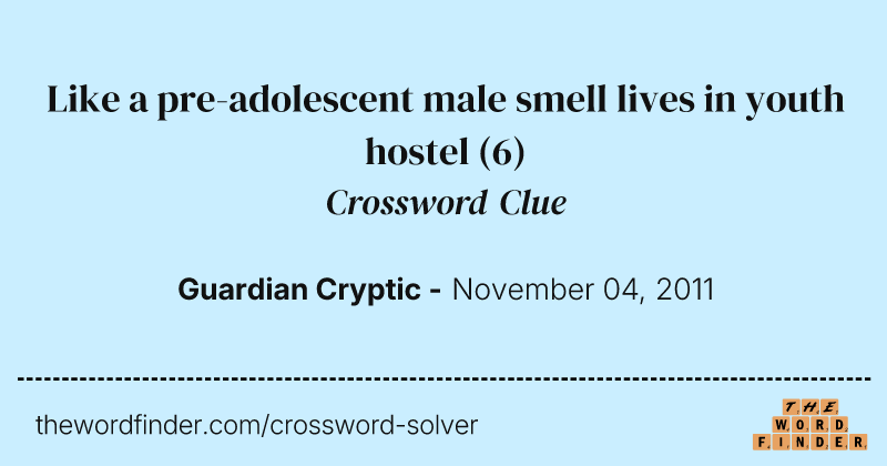 Like a pre-adolescent male smell lives in youth hostel crossword clue image
