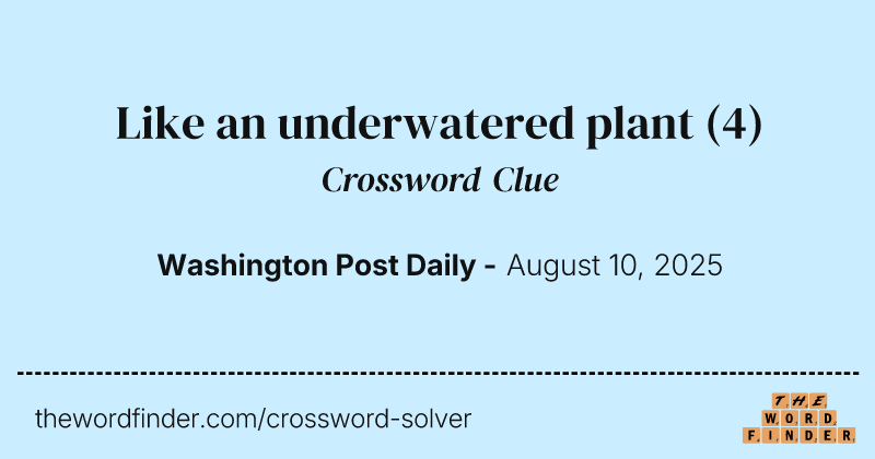 Like an underwatered plant crossword clue image