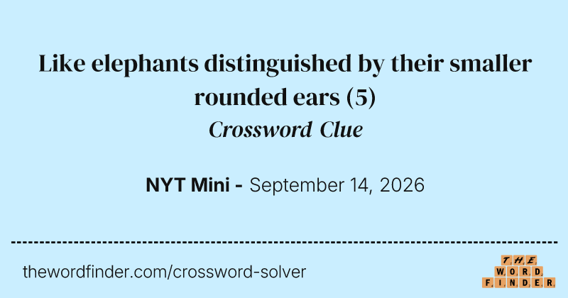Like elephants distinguished by their smaller rounded ears crossword clue image