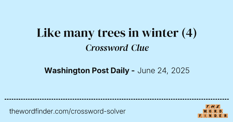Like many trees in winter crossword clue image