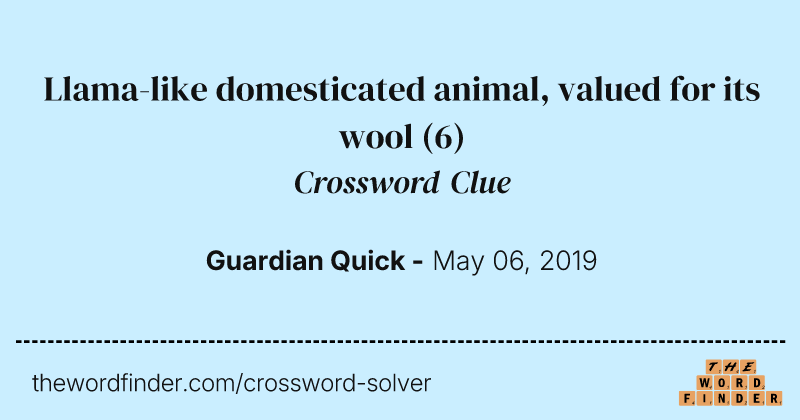 Llama-like domesticated animal, valued for its wool crossword clue image