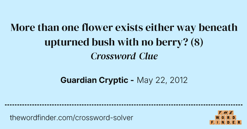 More than one flower exists either way beneath upturned bush with no berry? crossword clue image