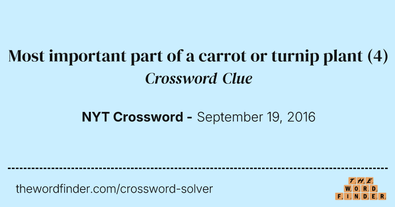 Most important part of a carrot or turnip plant crossword clue image