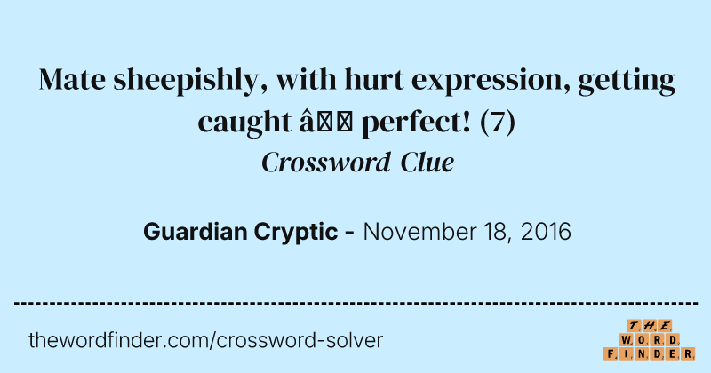Mate sheepishly, with hurt expression, getting caught — perfect! crossword clue image