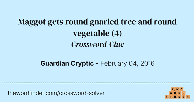 Maggot gets round gnarled tree and round vegetable crossword clue image