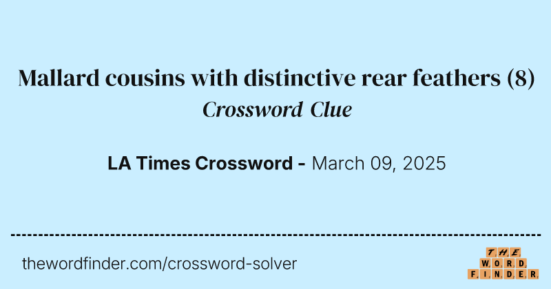 Mallard cousins with distinctive rear feathers crossword clue image