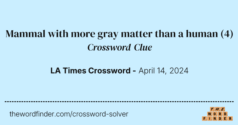 Mammal with more gray matter than a human crossword clue image