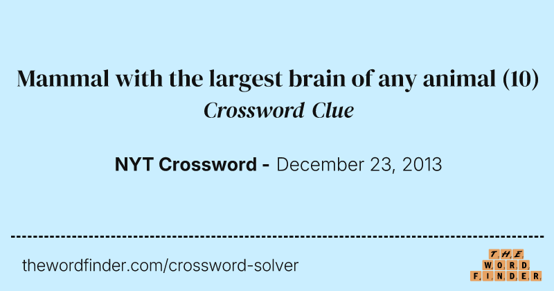 Mammal with the largest brain of any animal crossword clue image