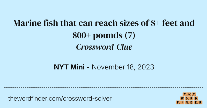 Marine fish that can reach sizes of 8+ feet and 800+ pounds crossword clue image
