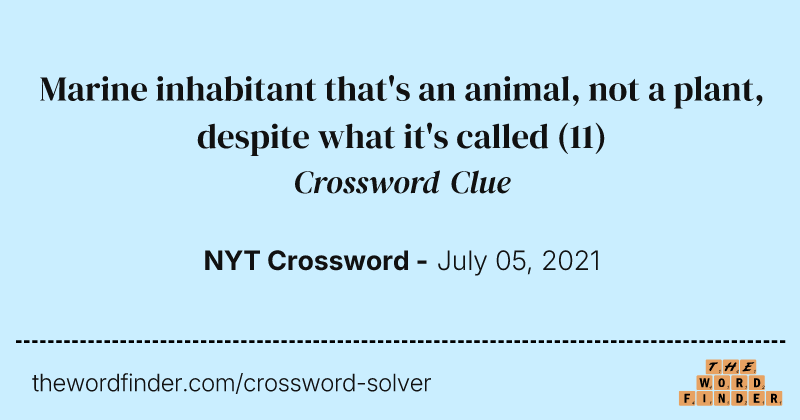 Marine inhabitant that's an animal, not a plant, despite what it's called crossword clue image