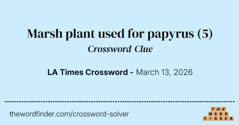 Marsh plant used for papyrus crossword clue image
