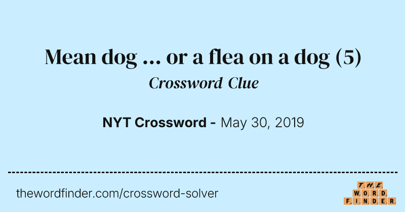 Mean dog ... or a flea on a dog crossword clue image