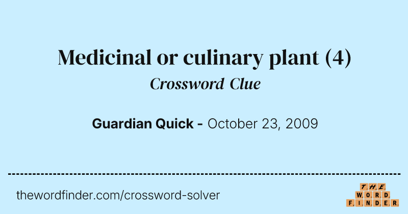 Medicinal or culinary plant crossword clue image