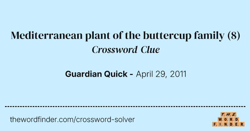 Mediterranean plant of the buttercup family crossword clue image