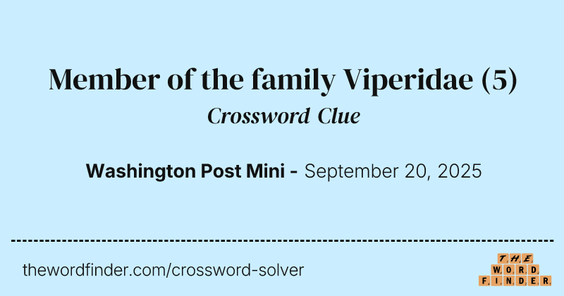 Member of the family Viperidae crossword clue image