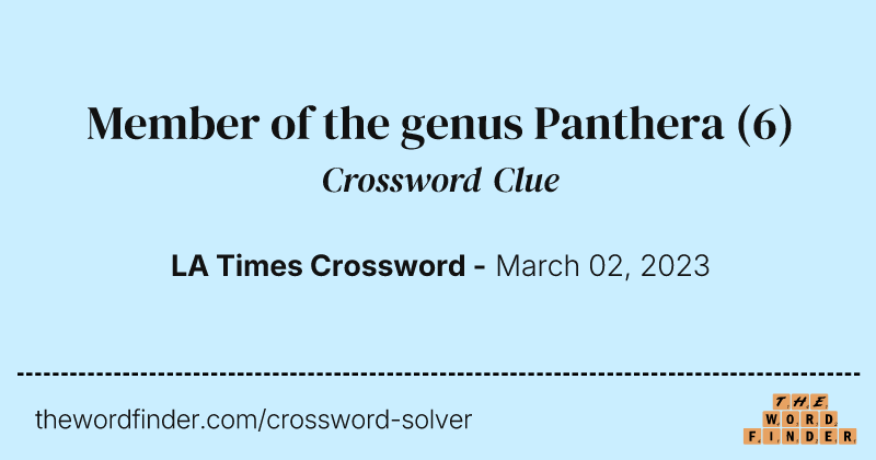 Member of the genus Panthera crossword clue image