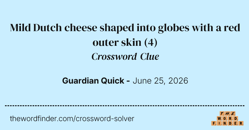 Mild Dutch cheese shaped into globes with a red outer skin crossword clue image
