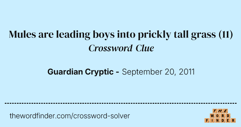 Mules are leading boys into prickly tall grass crossword clue image