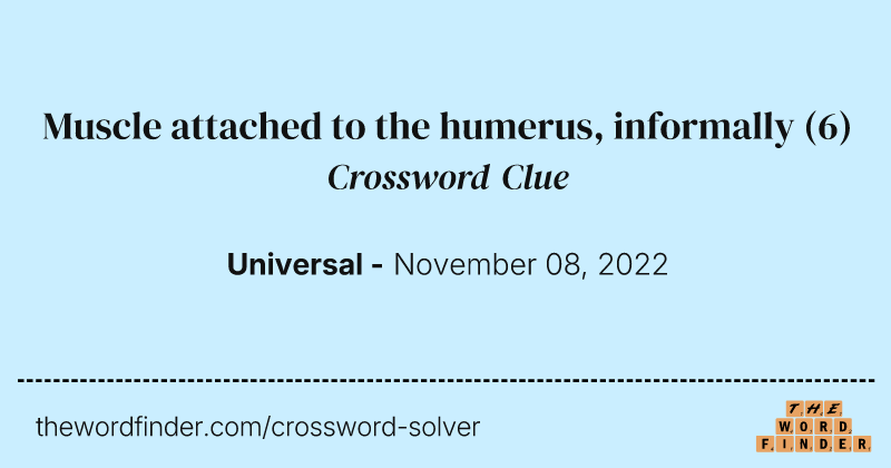 Muscle attached to the humerus, informally crossword clue image