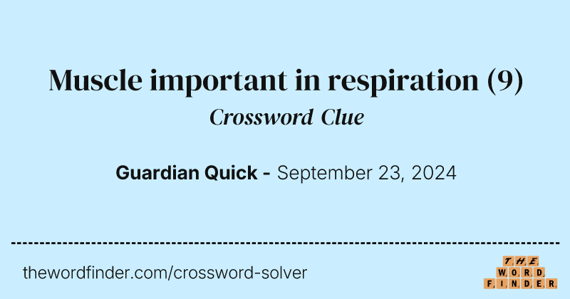 Muscle important in respiration crossword clue image