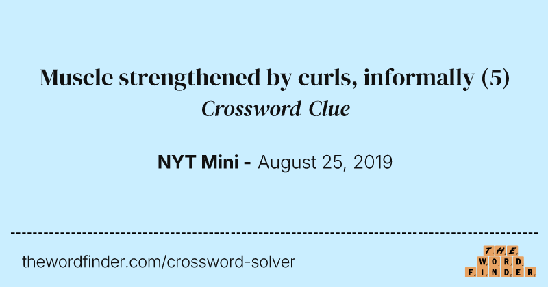 Muscle strengthened by curls, informally crossword clue image