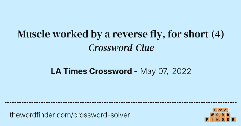 Muscle worked by a reverse fly, for short crossword clue image