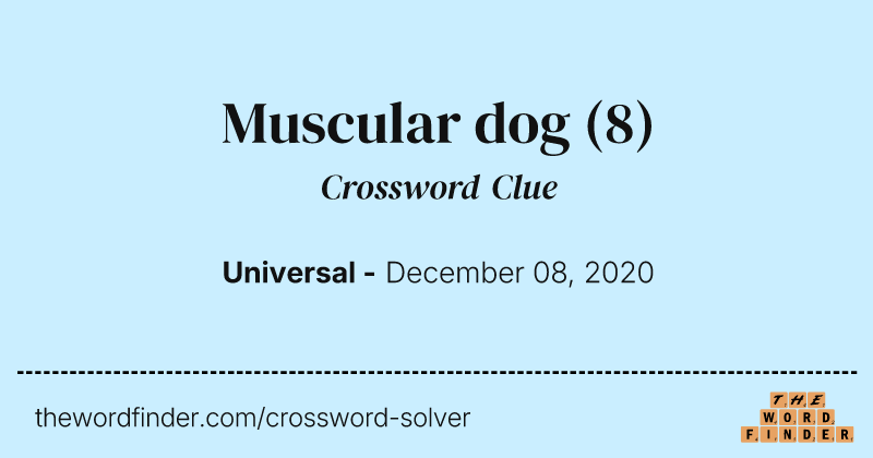 Muscular dog crossword clue image