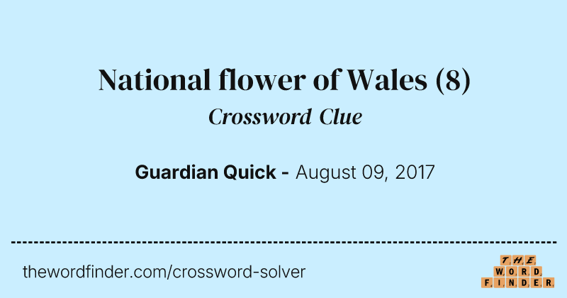 National flower of Wales crossword clue image