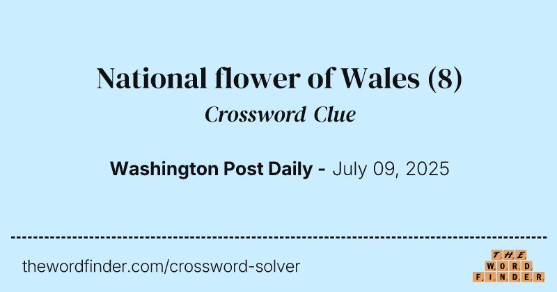 National flower of Wales crossword clue image