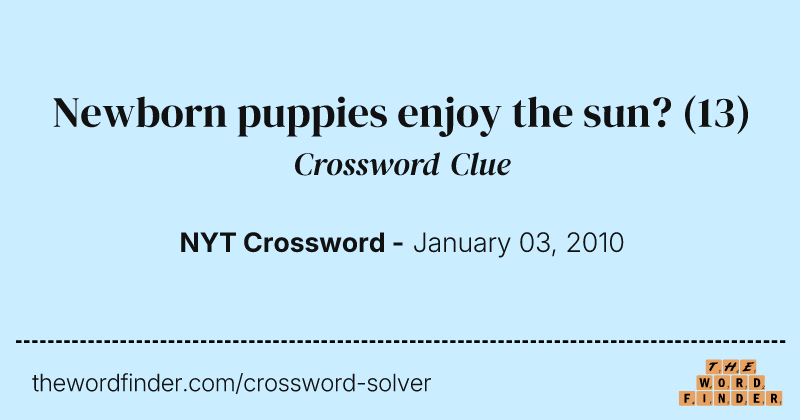 Newborn puppies enjoy the sun? crossword clue image