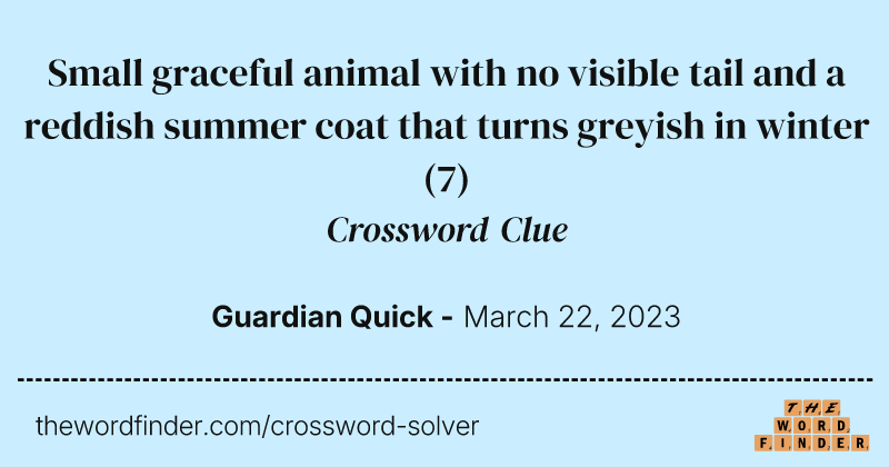 Small graceful animal with no visible tail and a reddish summer coat that turns greyish in winter crossword clue image