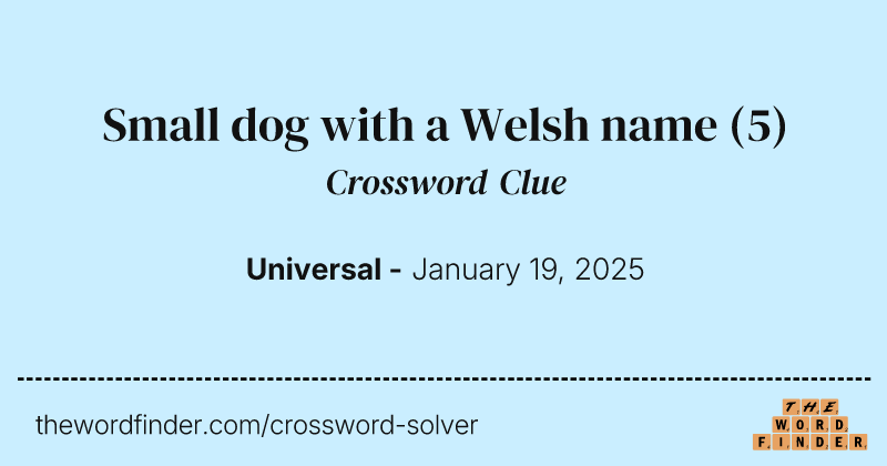Small dog with a Welsh name crossword clue image