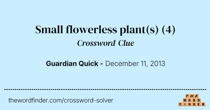 Small flowerless plant(s) crossword clue image