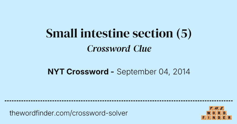 Small intestine section crossword clue image