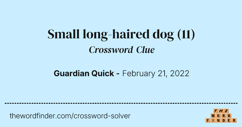 Small long-haired dog crossword clue image