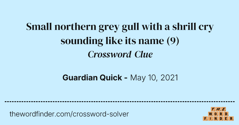 Small northern grey gull with a shrill cry sounding like its name crossword clue image