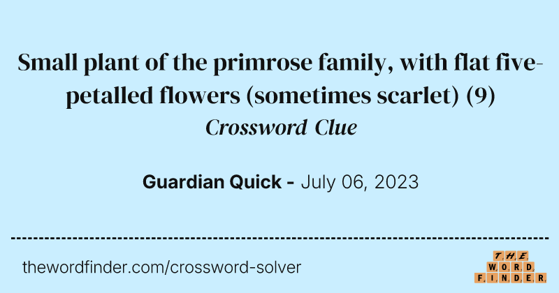 Small plant of the primrose family, with flat five-petalled flowers (sometimes scarlet) crossword clue image