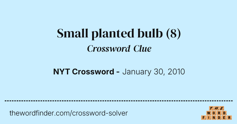 Small planted bulb crossword clue image