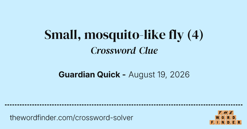 Small, mosquito-like fly crossword clue image