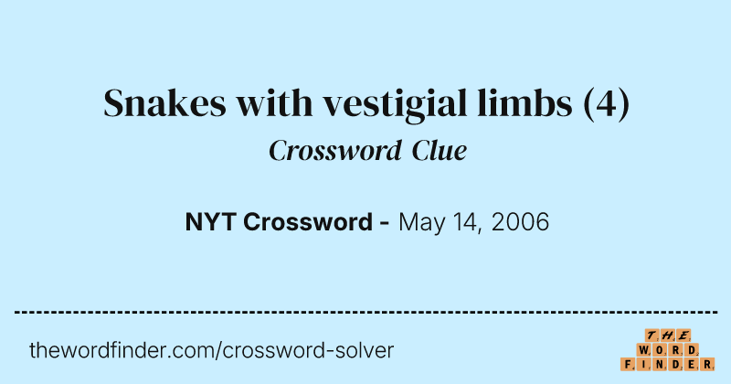 Snakes with vestigial limbs crossword clue image