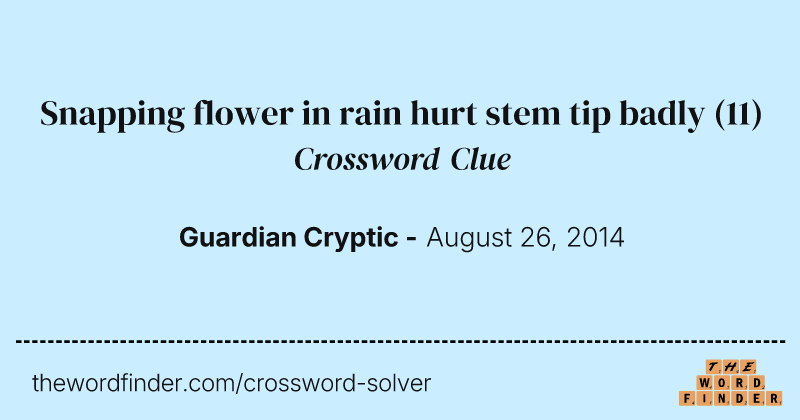 Snapping flower in rain hurt stem tip badly crossword clue image